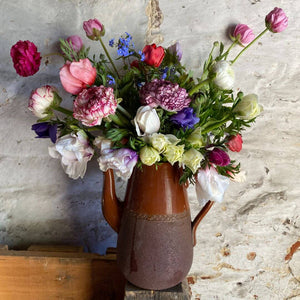 How to Sow Ranunculus and Anemones