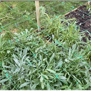 Support For Your Cut Flower Patch