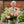 Load image into Gallery viewer, The Floral Project Starter Kit