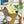 Load image into Gallery viewer, Floral Project Stickers