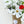 Load image into Gallery viewer, Floral Project Stickers
