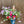 Load image into Gallery viewer, Flower Club