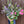 Load image into Gallery viewer, Flower Club
