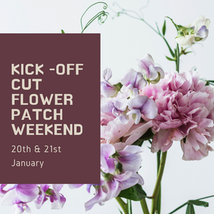 Catch Up Cut Flower Patch Weekend - 10 and 11 February 2024