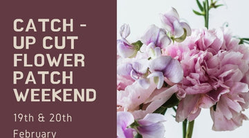 Catch-Up Cut Flower Patch Weekend - 19 & 20 February 2022