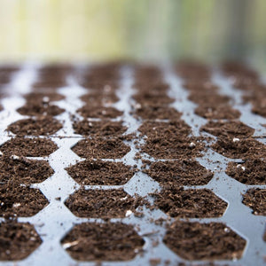 Getting Ready to Sow - Everything You Need to Know BEFORE You Open A Packet of Seeds!