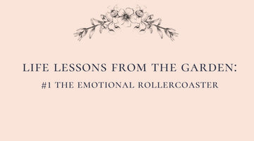 #1 The Roller Coaster of Emotion