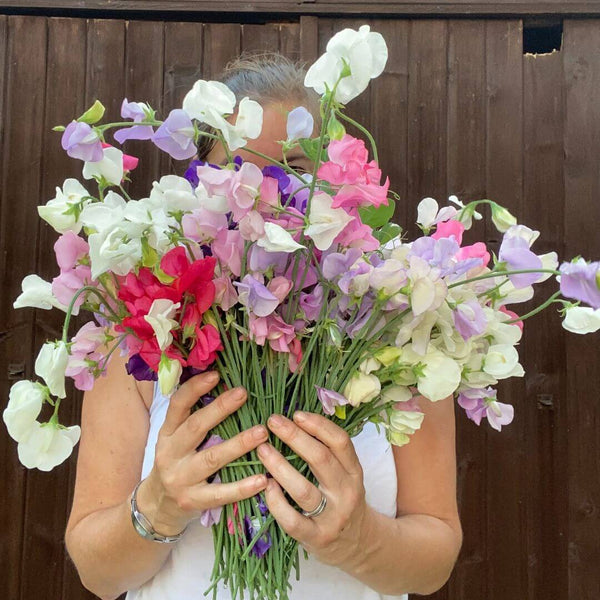 How To Cut, Condition, Arrange and Wrap Your Flowers