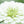 Load image into Gallery viewer, The May Flower Kit
