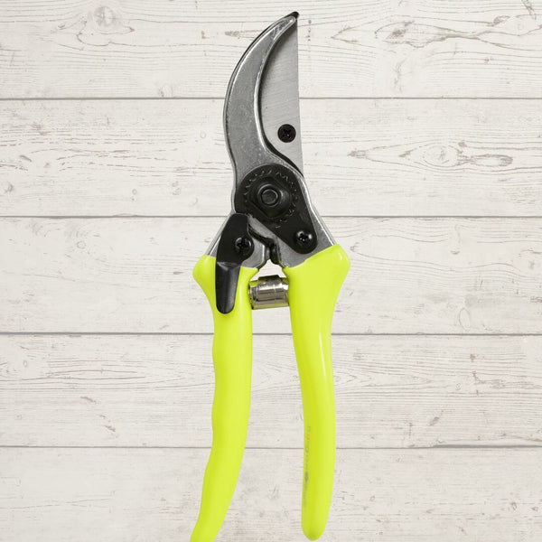 Sunshine Yellow Secateurs