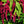 Load image into Gallery viewer, The May Flower Kit
