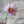 Load image into Gallery viewer, The May Flower Kit
