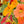Load image into Gallery viewer, The May Flower Kit
