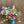 Load image into Gallery viewer, The Flower Club
